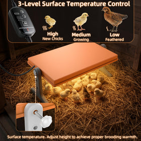 Xbrigh Chick Brooder Plate adjustable-height setup ensures optimal heating zone for growing chicks.