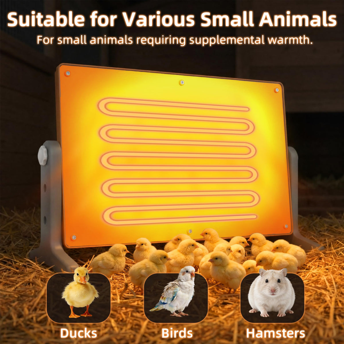 Xbrigh Chick Brooder Plate durable construction supports everyday use in busy backyard setups.