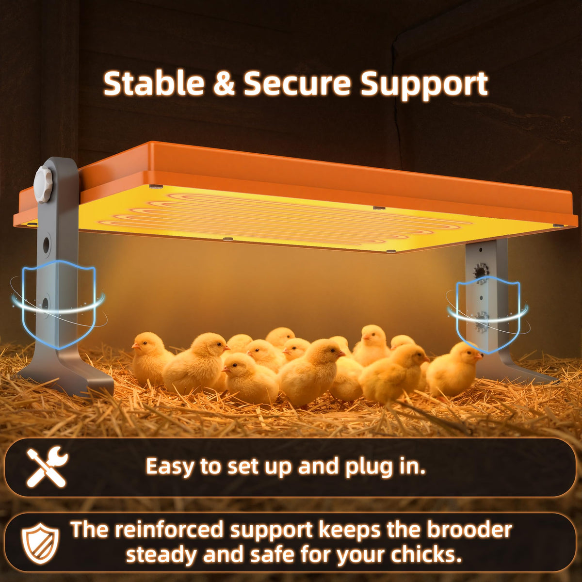 Xbrigh Chick Brooder Plate three-speed control provides gentle, medium, and high warmth for growing chicks.