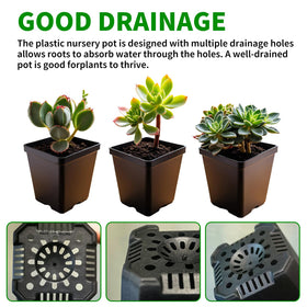 XCRUI durable PP plastic nursery pots built to last seasons.