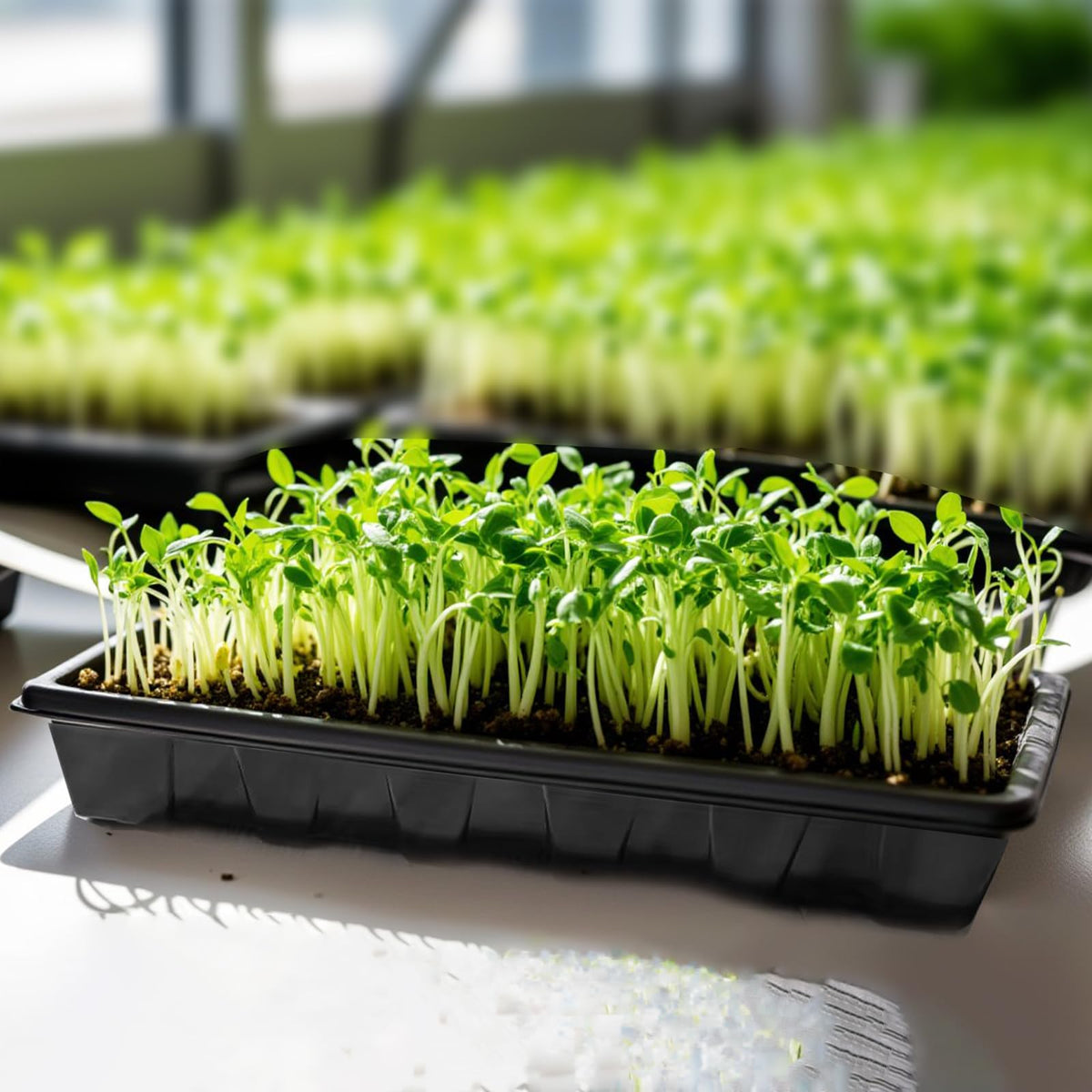 XCRUI seed starting tray stackable design saves space during indoor garden setups.
