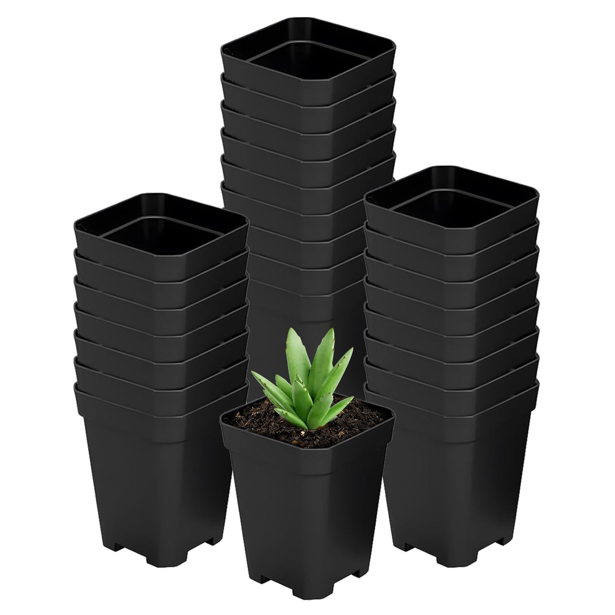 XCRUI square nursery pots, 3-inch depth for seed starting and transplanting.