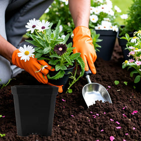 XCRUI stackable square seedling pots save space on storage and benches.