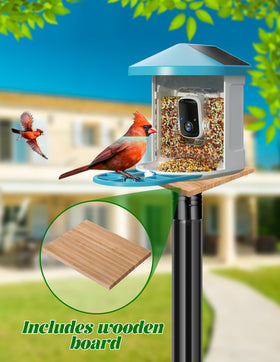 XDW-GIFTS versatile pole supports bird feeders or bird houses