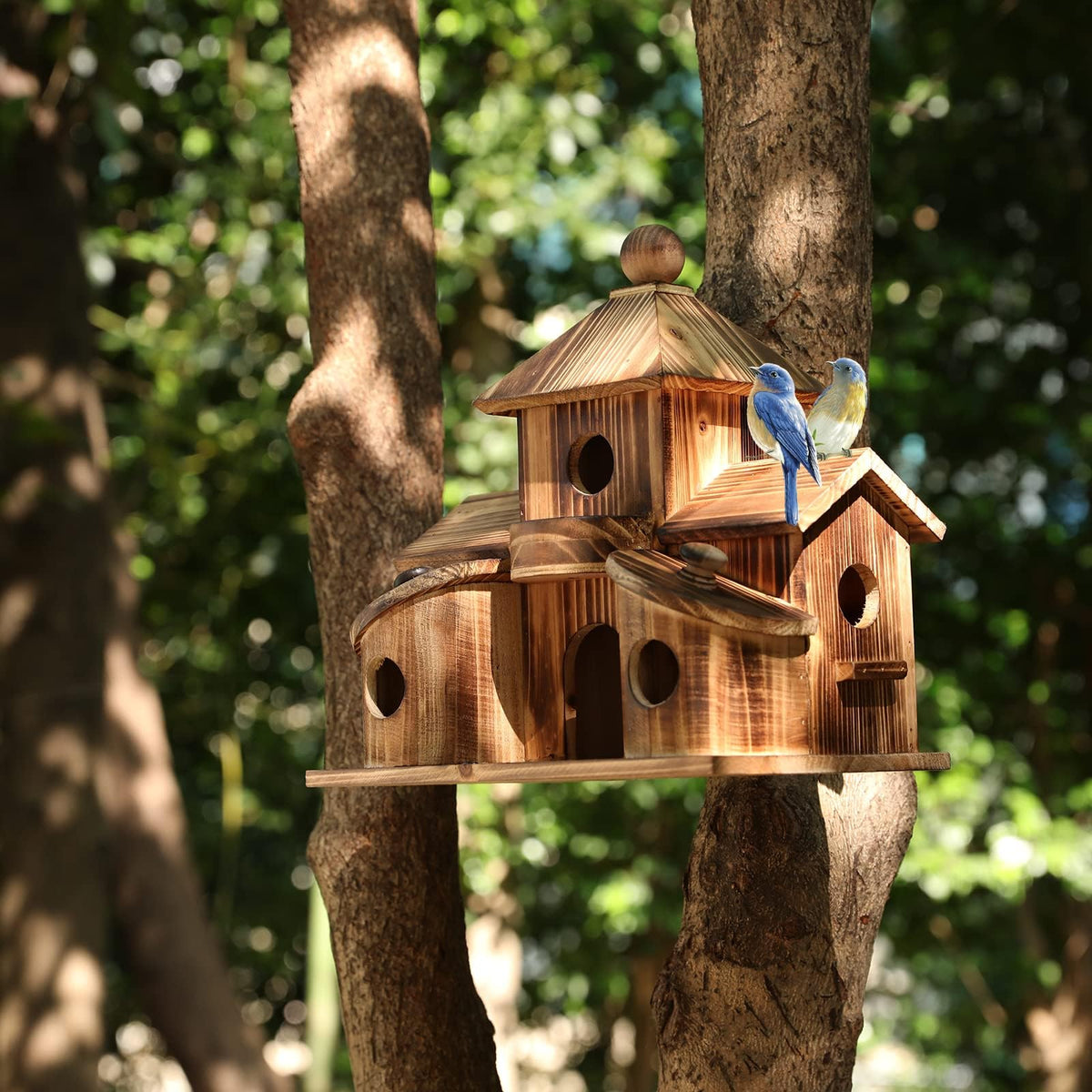 XDYGHH backyard bird-watching habitat supports wildlife enjoyment from your patio.