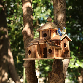 XDYGHH backyard bird-watching habitat supports wildlife enjoyment from your patio.