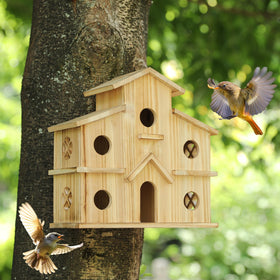 XDYGHH backyard scene with birdhouse as decorative shelter.