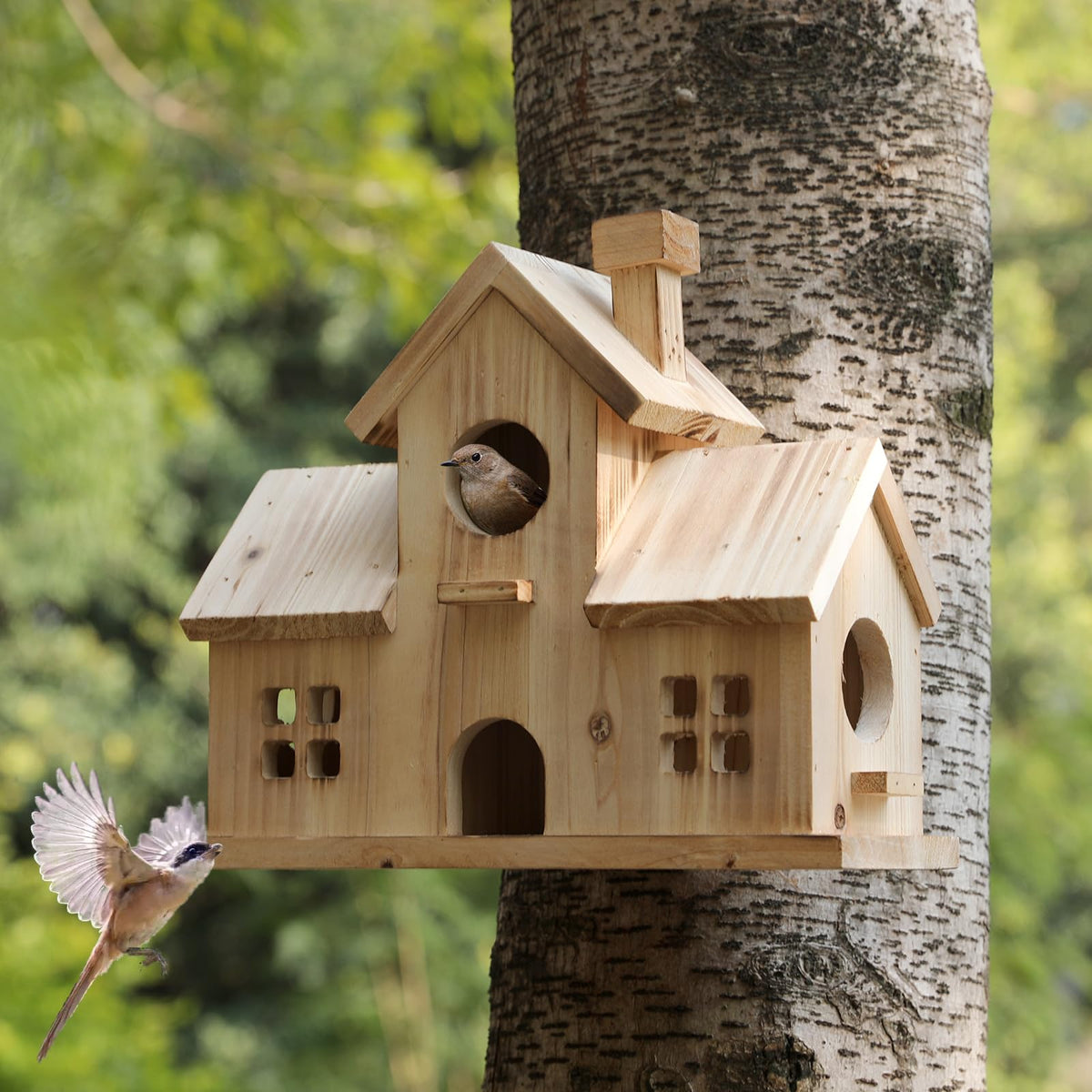 XDYGHH Bird House exterior view highlights durable cedar for outdoor use.