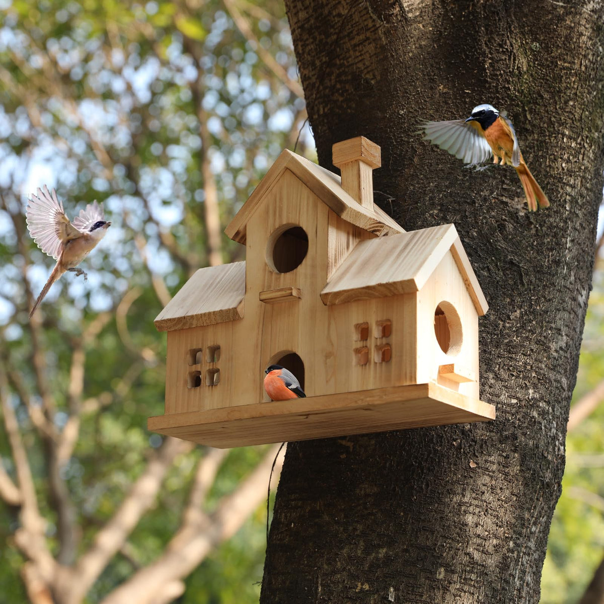 XDYGHH Entry hole size supports various small birds visiting.