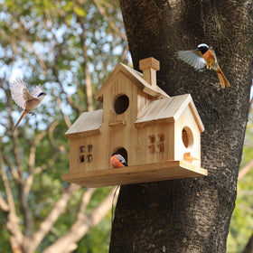 XDYGHH Entry hole size supports various small birds visiting.