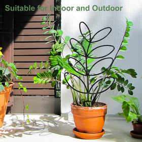 Xeeol black metal finish trellis blends with modern interiors.