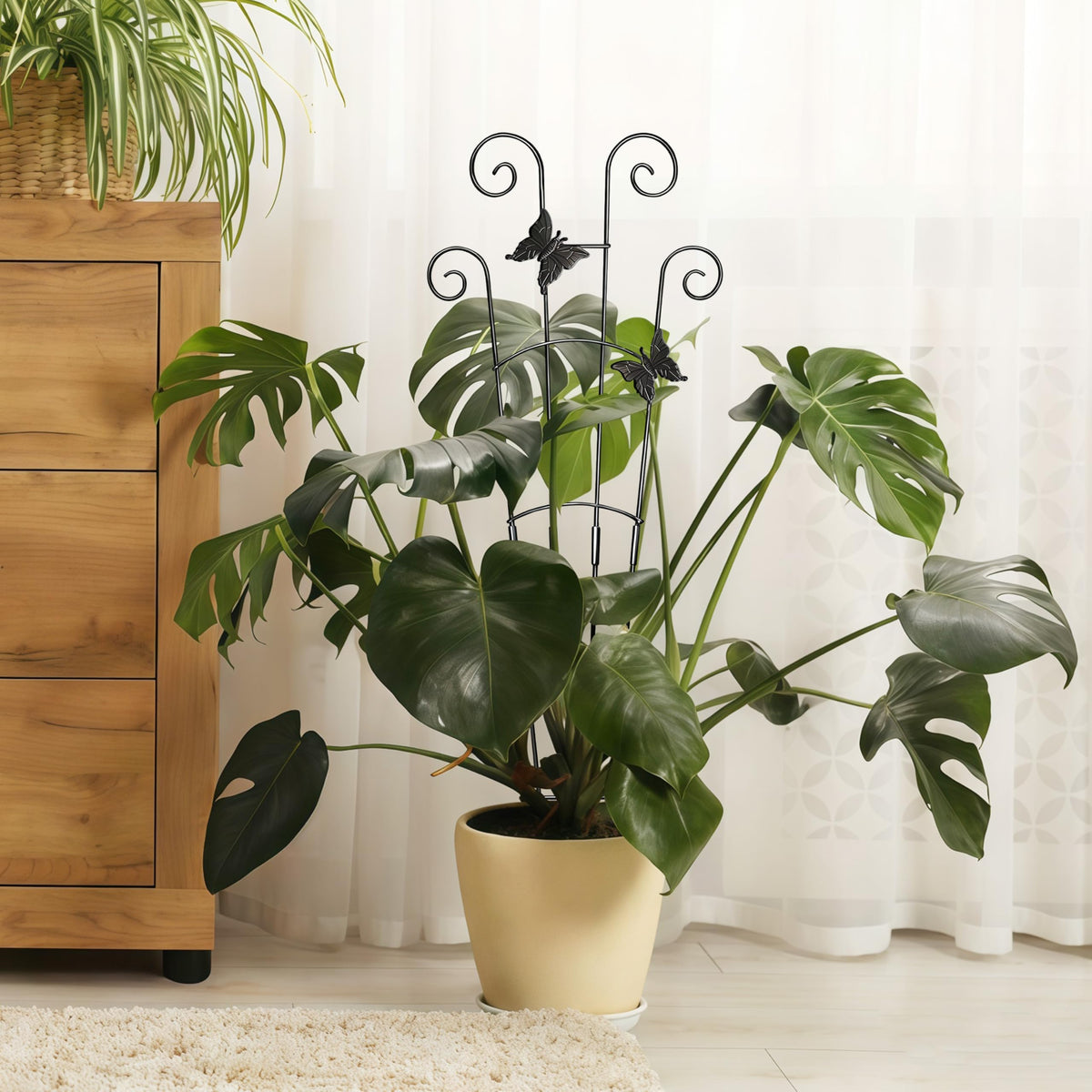 Xeeol complete set includes two trellises and ties for flexibility