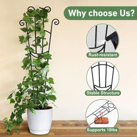Xeeol expandable two-piece trellis offers adjustable height for growing plants.
