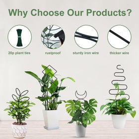 Xeeol four-panel metal trellis for versatile plant arrangements.
