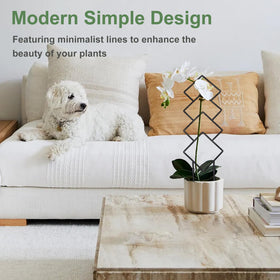 Xeeol indoor-outdoor friendly trellis fits diverse spaces.
