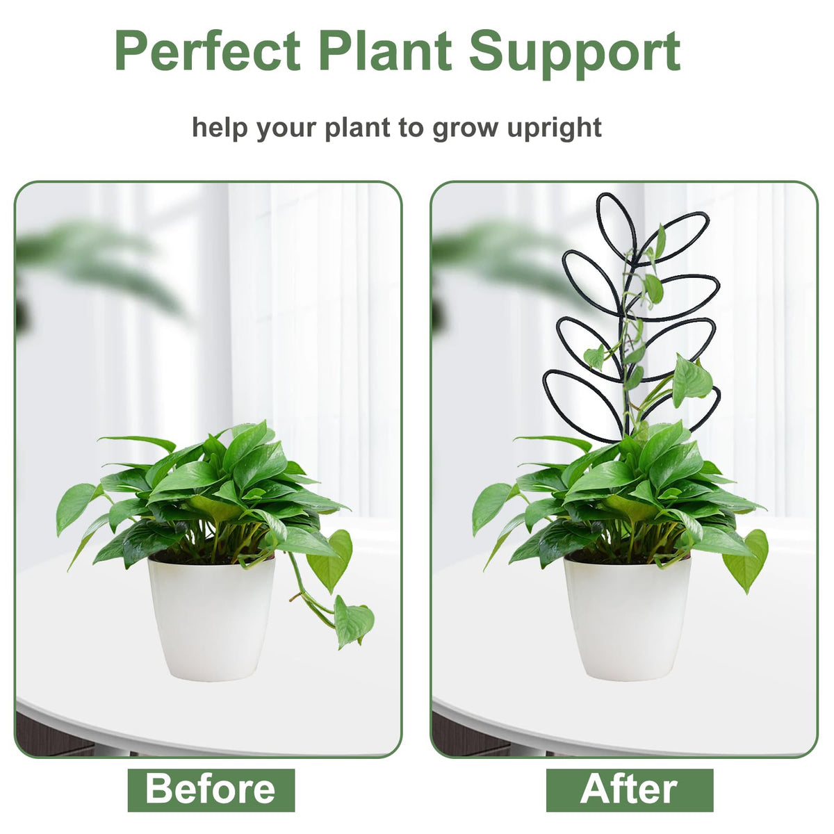Xeeol plant ties pack secures vines without damage.