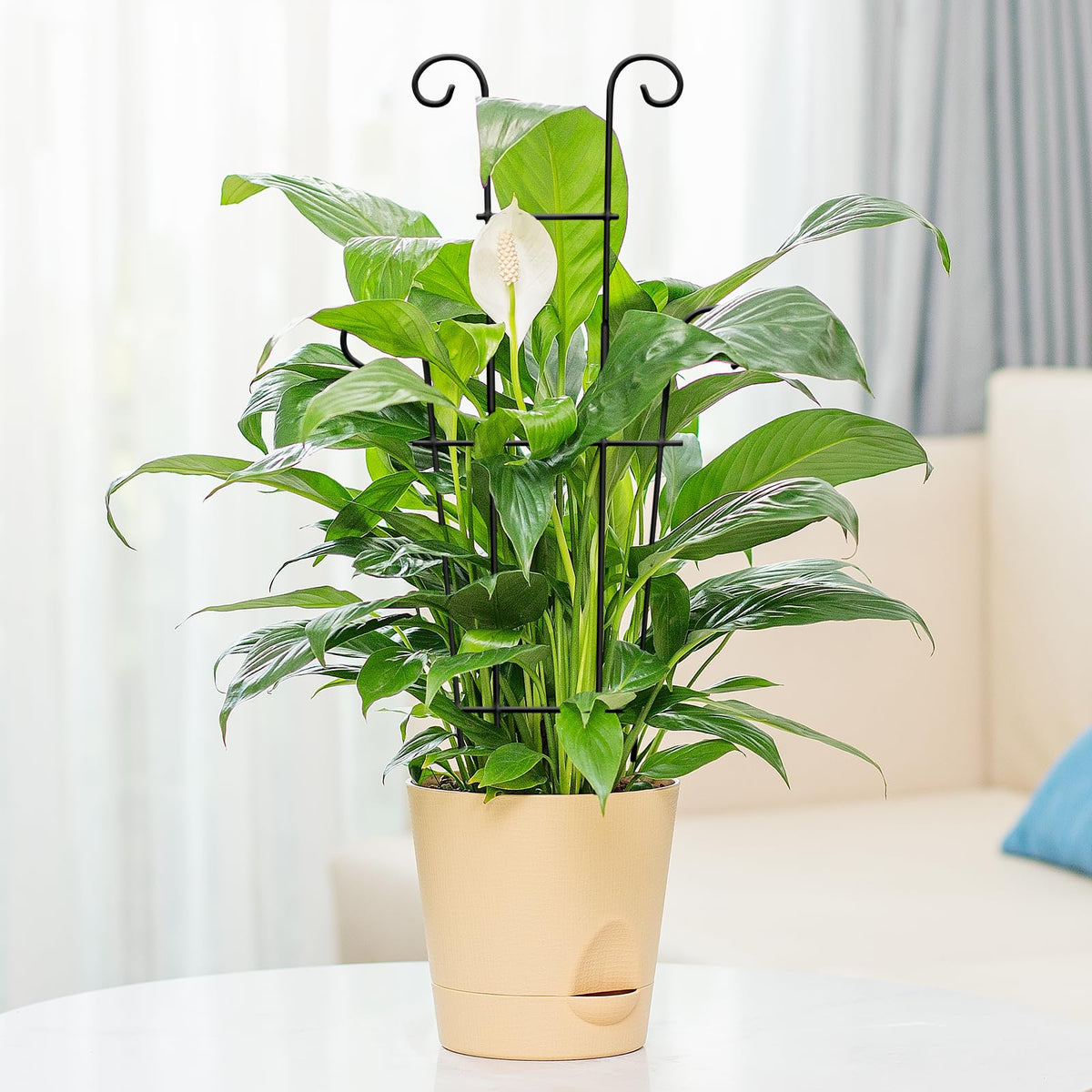 Xeeol includes 20 ties for quick plant training
