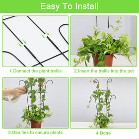 Xeeol garden display with two trellises in a container setting