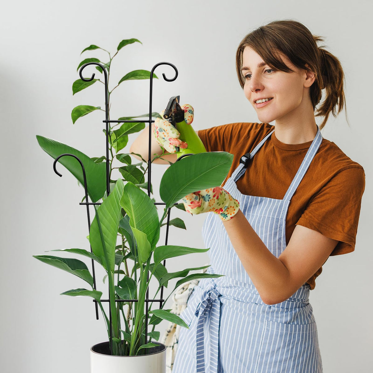 Xeeol gift-ready plant trellis set for plant lovers