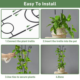 Xeeol ties pack included for quick securement of stems and vines.