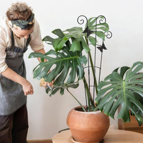 Xeeol two-part modular trellis adapts to plant growth stages
