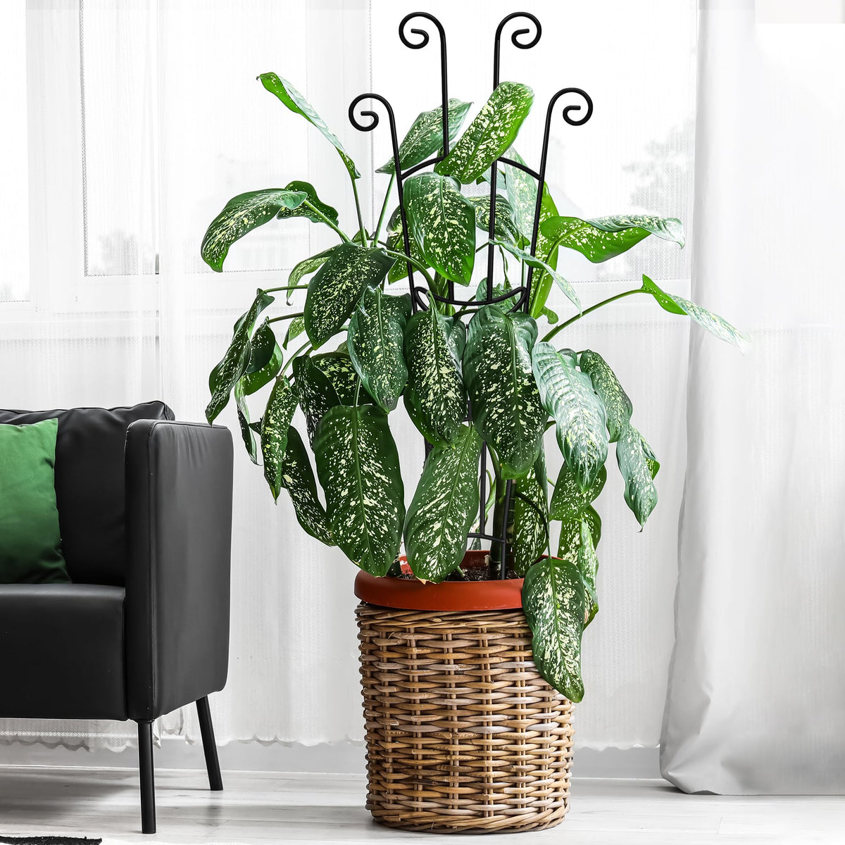 Xeeol two trellises per pack support larger plant setups.