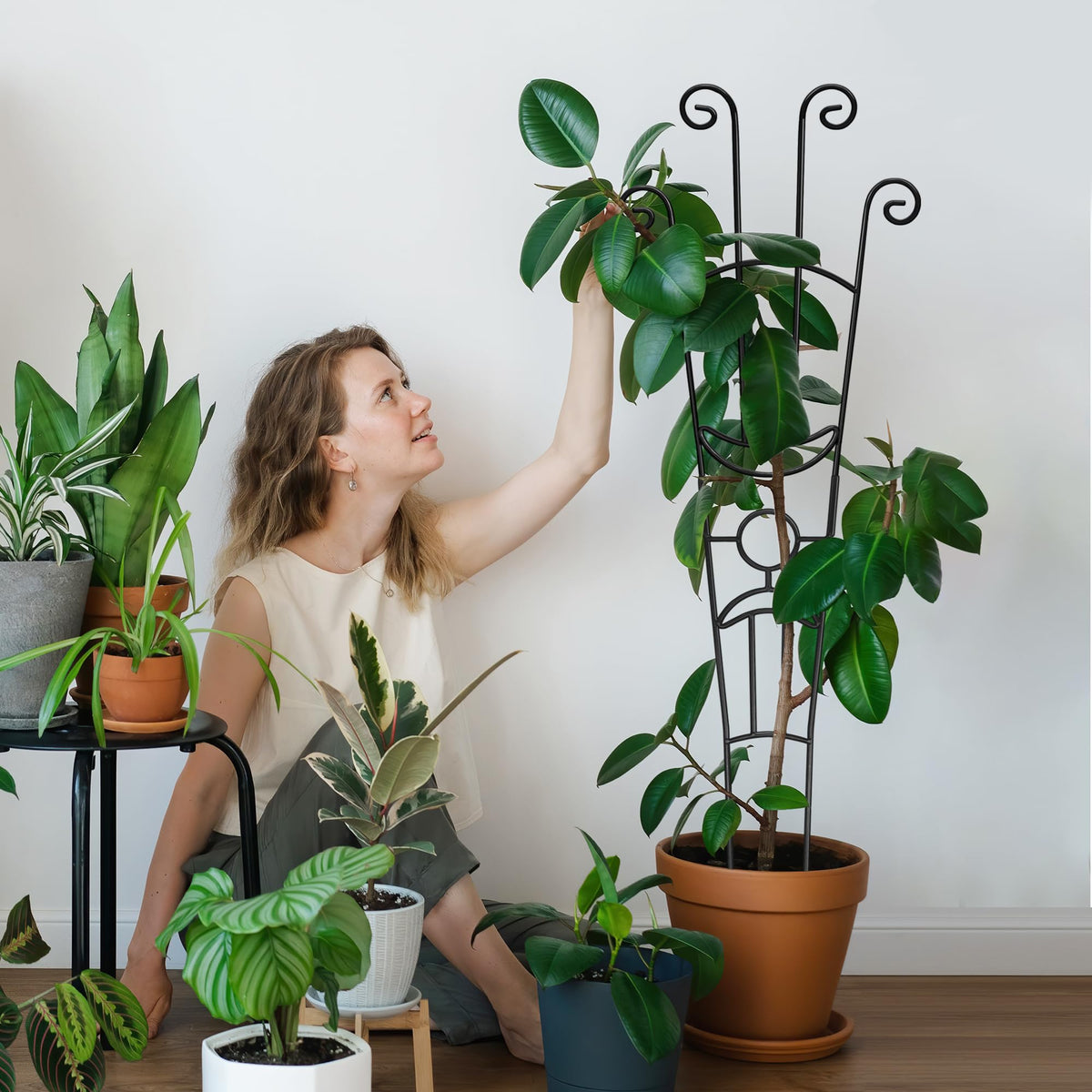 Xeeol vertical growth design helps maximize light on foliage.