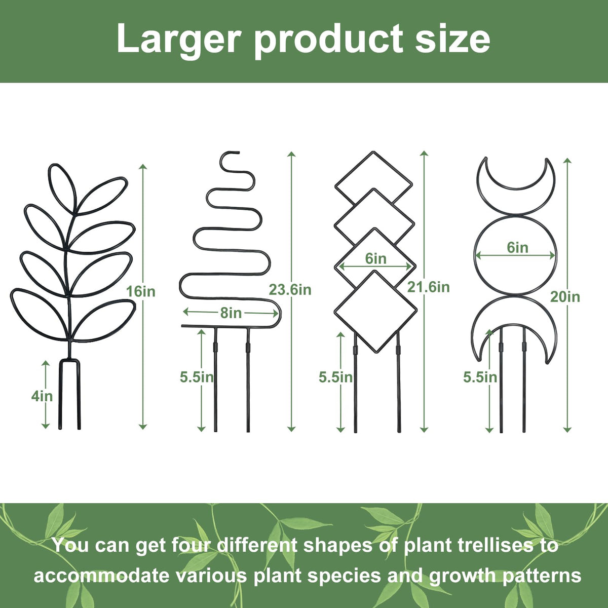 Xeeol vertical rose-climbing setup adds natural decorative charm.