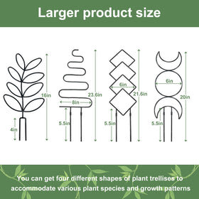 Xeeol vertical rose-climbing setup adds natural decorative charm.