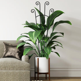 Xeeol waterproof coating enables indoor and outdoor placement in any season.