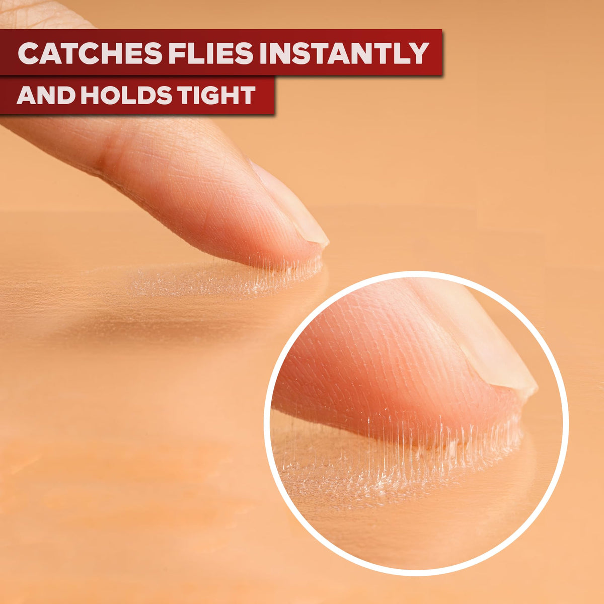XFasten fly traps odorless design sits discreetly on glass.