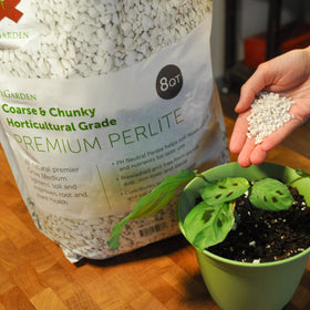 xGarden Perlite close-up shows light, porous granules for roots.