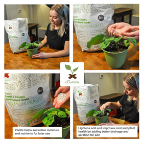 xGarden Perlite granules enhance drainage and aeration in pots.