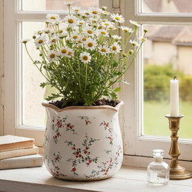 Xiaan Jiaju 6.11in indoor plant pot showcases small red blooms gracefully