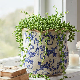 Xiaan Jiaju blue and white chinoiserie planter adds vintage charm to living rooms.