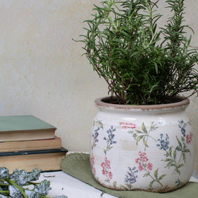 Xiaan Jiaju ferns in pot add fresh greenery to a desk