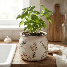 Xiaan Jiaju housewarming gift packaging ideal for plant lovers