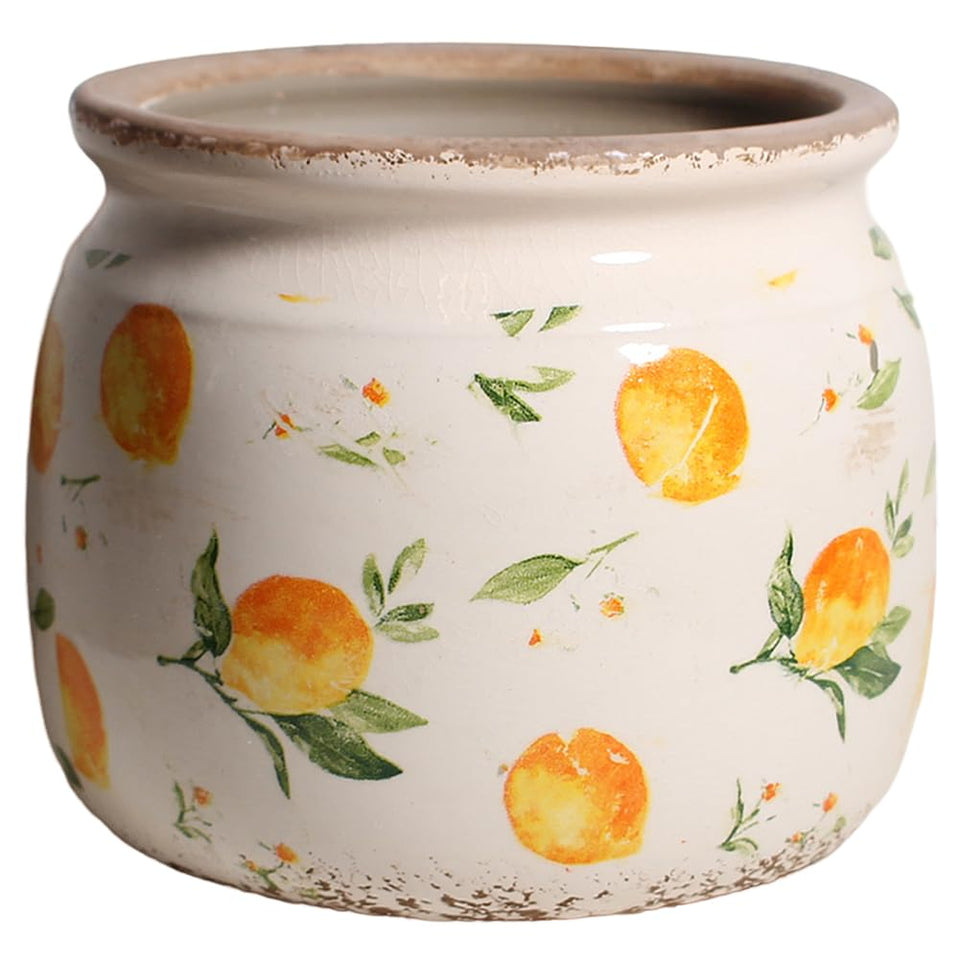 Xiaan Jiaju lemon-summer-ceramic-pot-6-inch with drainage for thriving indoor plants.