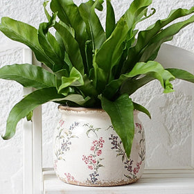 Xiaan Jiaju planter with drainage hole for moisture control