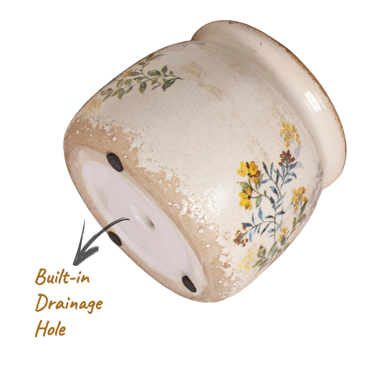 Xiaan Jiaju sage-yellow pot with succulent adds vibrant accent