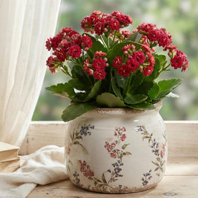 Xiaan Jiaju vintage ceramic planter collection displayed on shelf for timeless decor