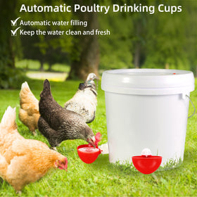 Xictuwey 10-pack chicken waterer cups ready for quick coop upgrades