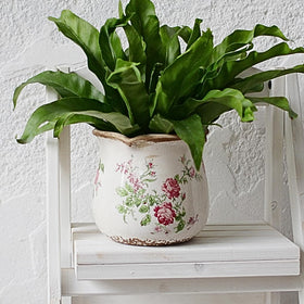 Xiaan Jiaju pink rose pot designed as a gift ready indoor decor accent