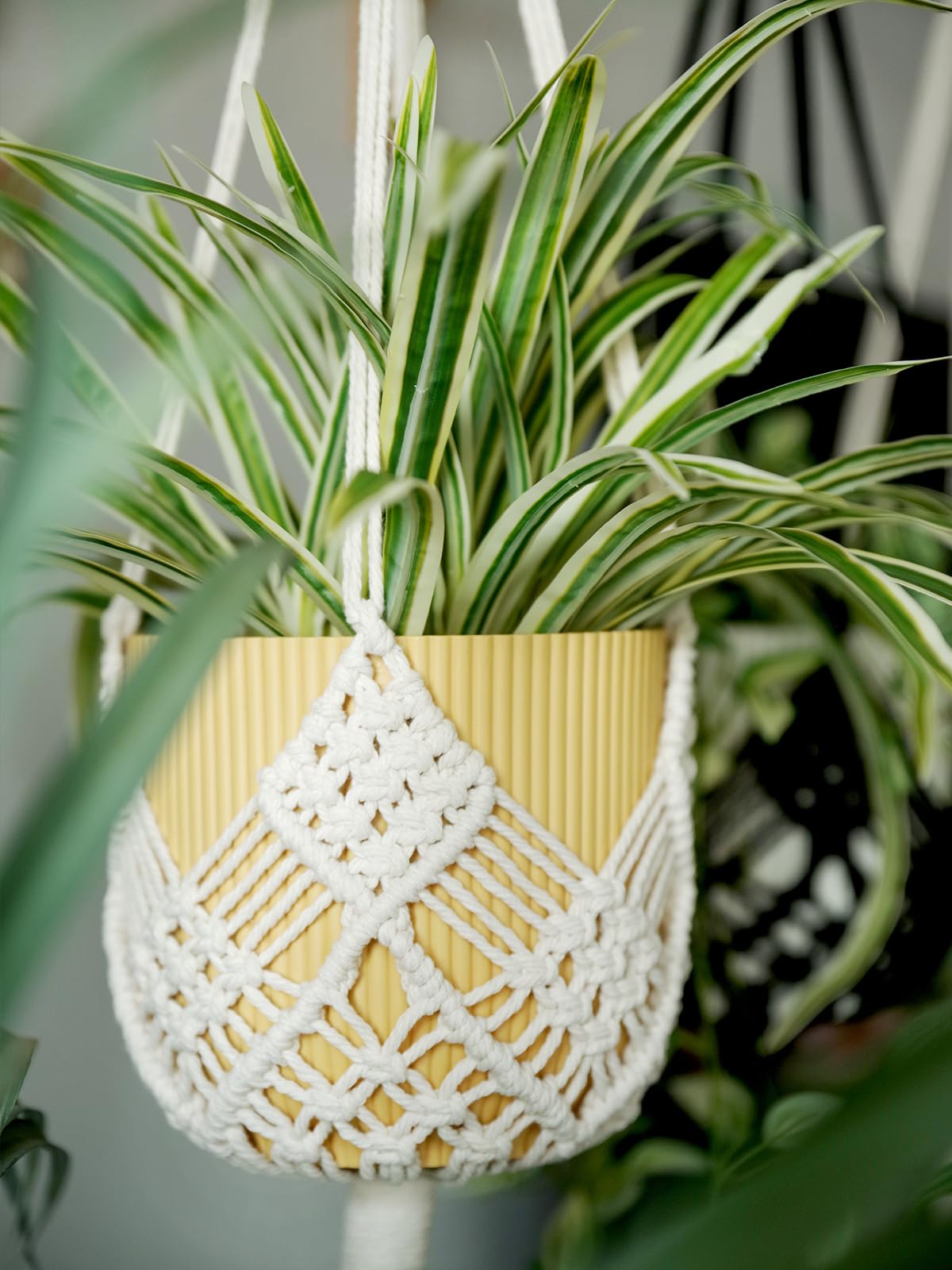 XINBOR cotton rope texture highlights natural, lint-free finish.