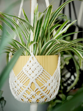 XINBOR cotton rope texture highlights natural, lint-free finish.