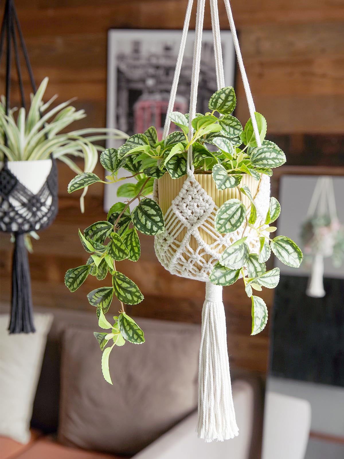 XINBOR indoor-outdoor setup adds versatile decor for any space.