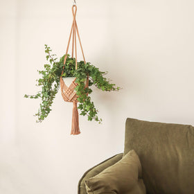 XINBOR Vertical Space Saving: hangers maximize space with vertical display.