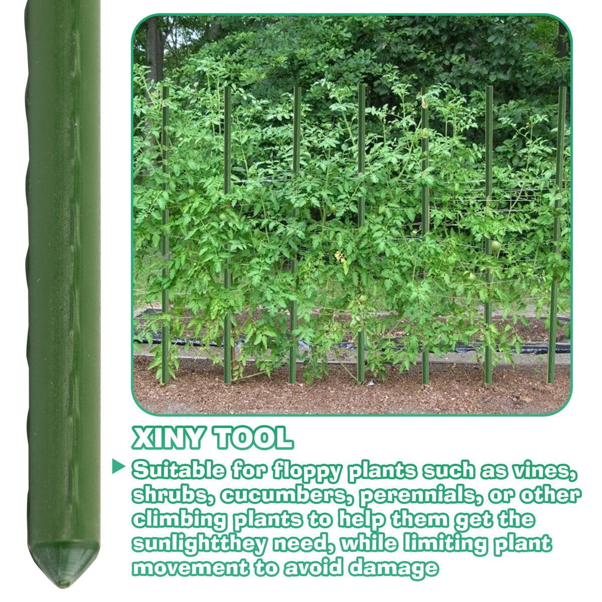 Xiny Tool trellis/teepee plant support arrangement for climbing plants