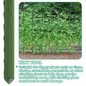 Xiny Tool trellis/teepee plant support arrangement for climbing plants