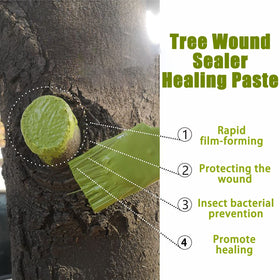 XIRUJNFD bonsai pruning sealer paste applied to wound aids antisepsis and moisture retention.